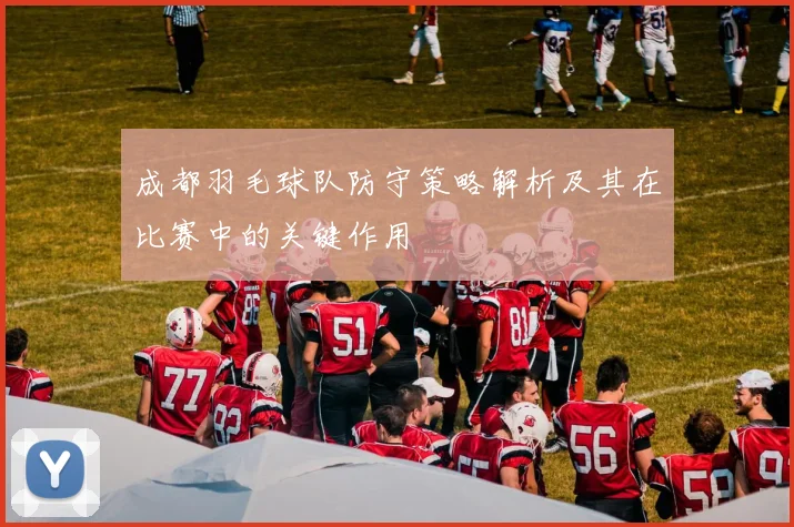 成都羽毛球队防守策略解析及其在比赛中的关键作用